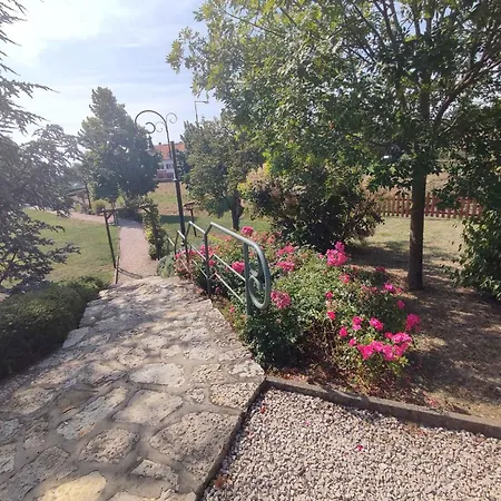 In Csopak/balaton 18320 乔保克